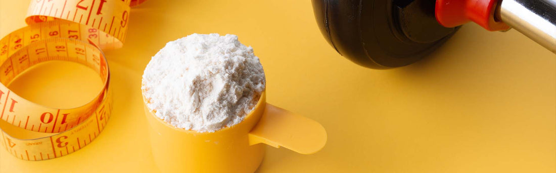 Aminosäuren und Schilddrüse: So unterstützt du deine Hormonbalance gezielt - MANIAC Nutrition