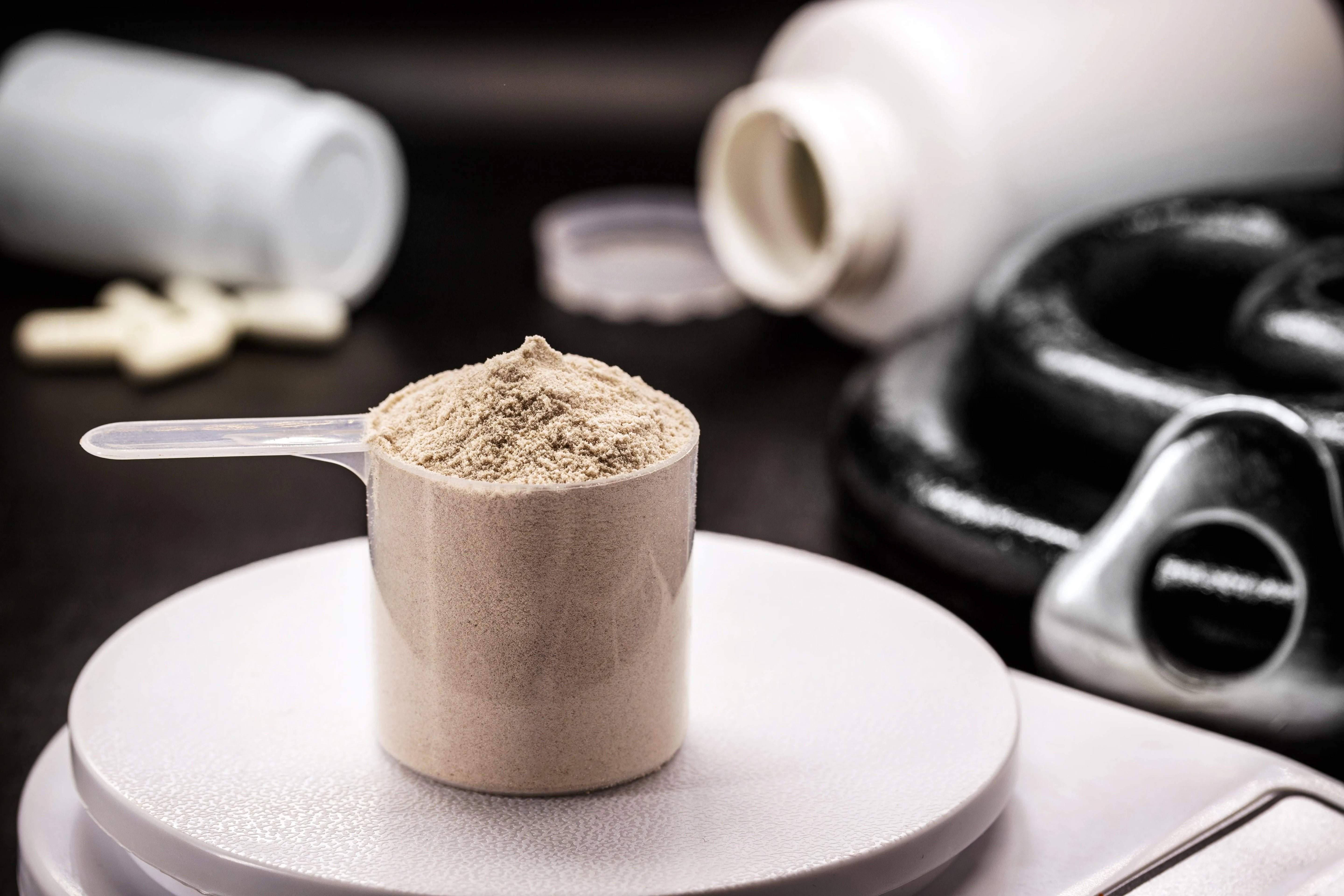 Whey Protein - MANIAC Nutrition