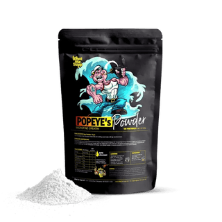 100% Creatin Monohydrat (mikrofein) 500g